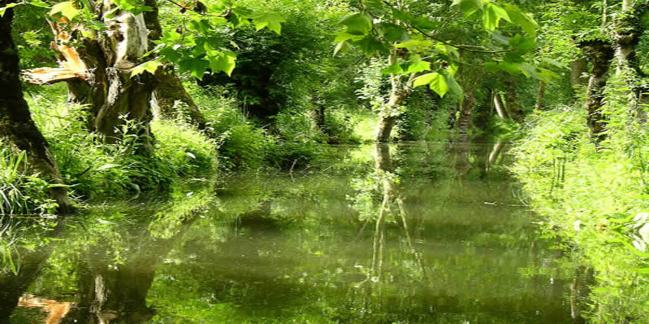 Les richesses naturelles du Poitou-Charentes